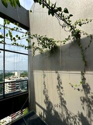 The Trizon (D10), Condominium #459672461